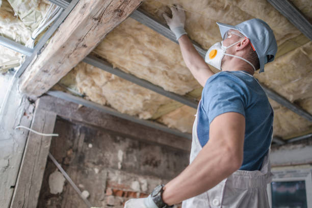 Best Energy Efficiency Insulation in Hammond, LA