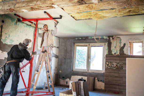 Best Insulation Maintenance and Repair in Hammond, LA