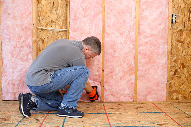 Types of Insulation We Offer in Hammond, LA