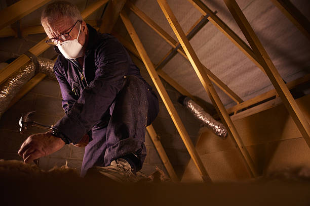 Types of Insulation We Offer in Hammond, LA